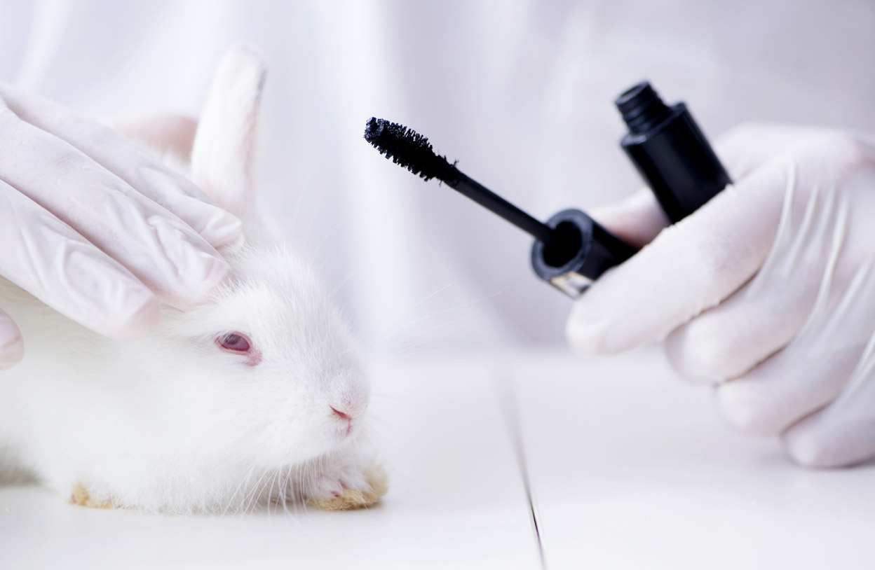 research animal testing for cosmetics